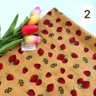 VẢI THÔ KATE 🍓V168
