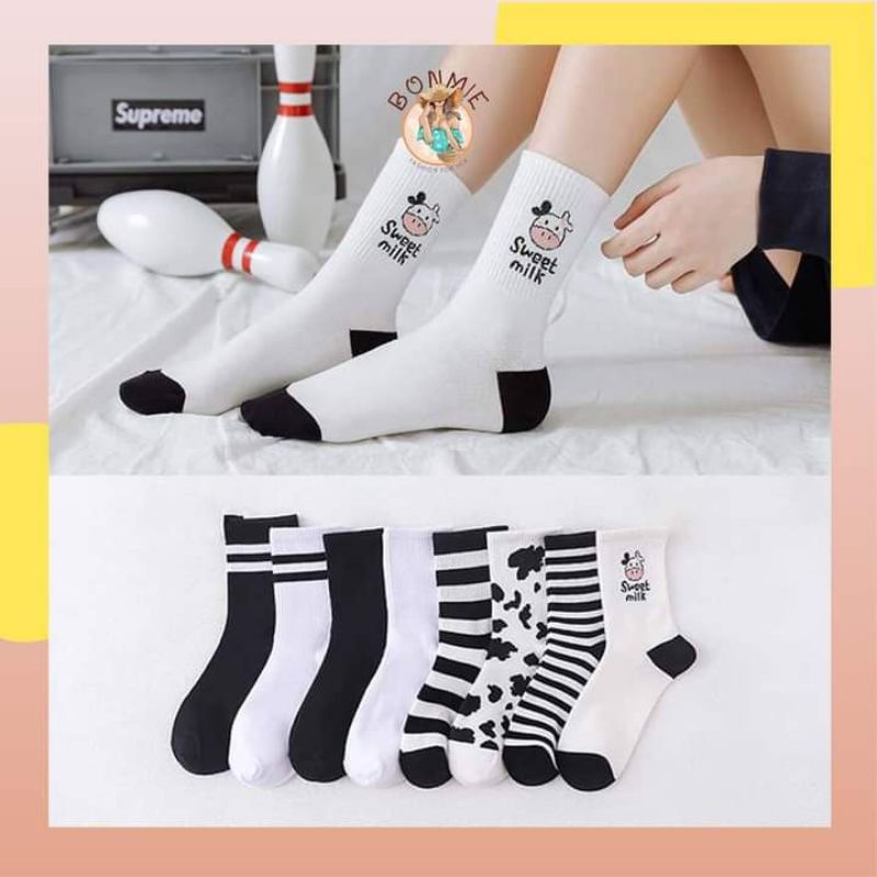 Set 5 đôi TẤT BÒ SỮA cao cổ phong cách Hàn quốc cho nam, nữ