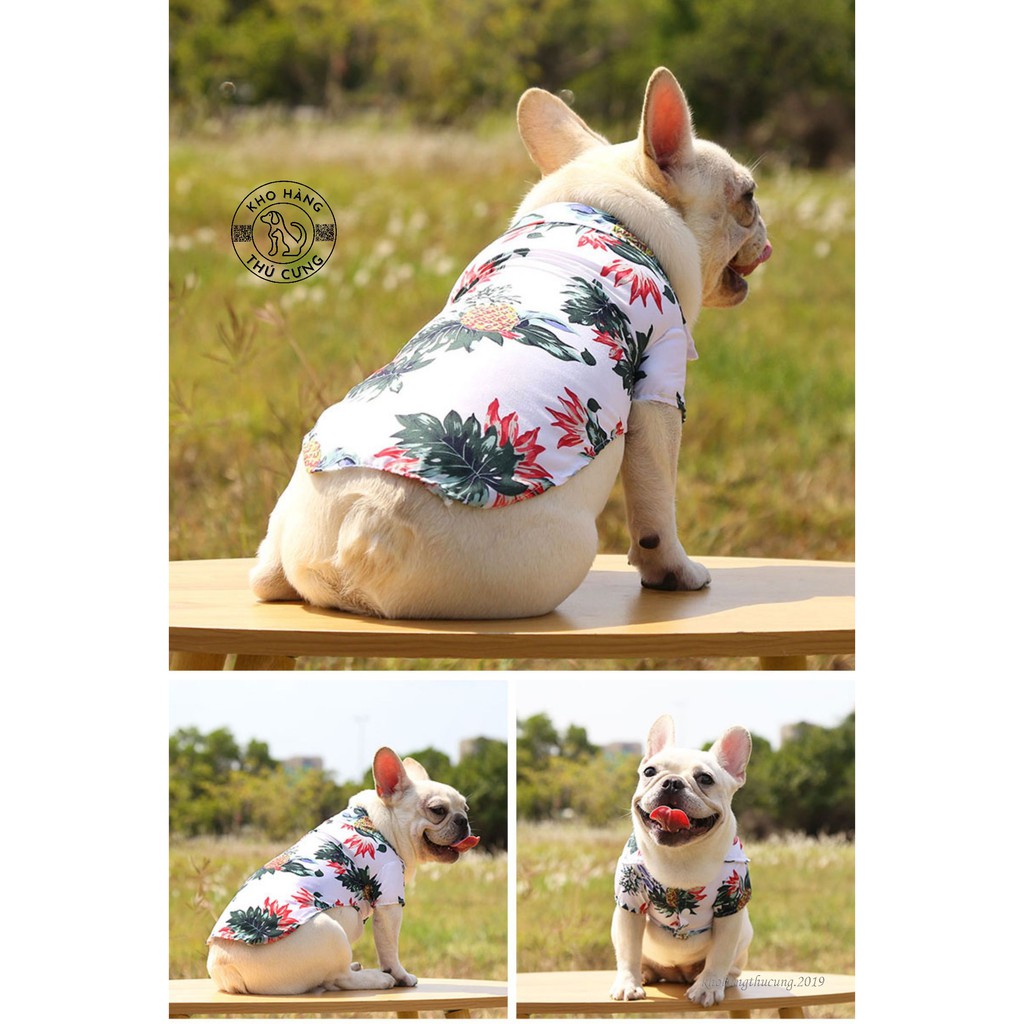 ÁO SƠ MI HOA DỨA- TRẮNG (Size từ 1- 40kg)