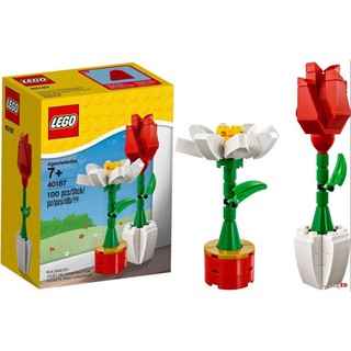 Bộ LEGO 40187 - Hoa cúc và hoa hồng