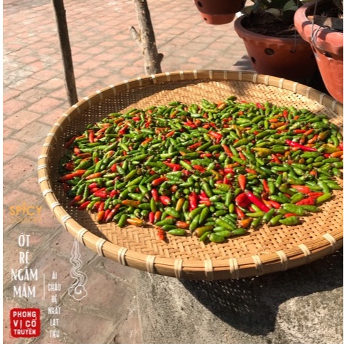 Ớt ré ngâm mắm SPICO cay, giòn, đậm 250g, 325g, 518g