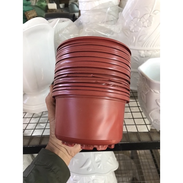 Chậu tô dùng trồng sen đại