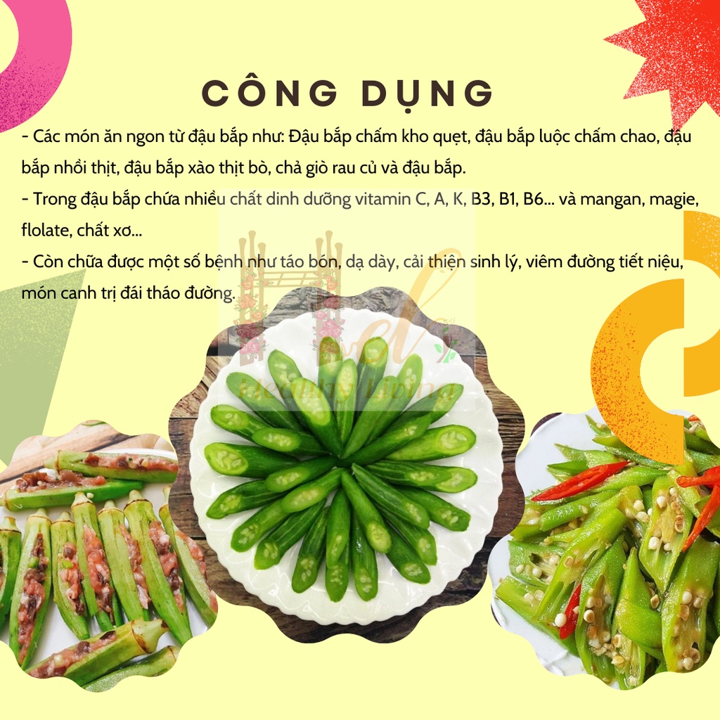 Hạt Giống Đậu Bắp Cao Sản Siêu Trái Năng Suất Cao - Trồng Hạt Giống Rau Củ Quả Bằng Đất Sạch, Xơ Dừa, Mùn Dừa, Phân Bón