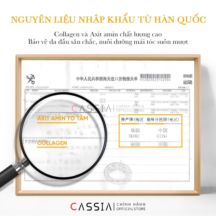 Kem Ủ Tóc Collagen JLISA Phục Hồi Khô Xơ Hư Tổn, Kem Hấp Tóc Nuôi Dưỡng Bảo Vệ Chân Tóc, Hấp Dầu Vào Nếp Suôn Mượt 260g