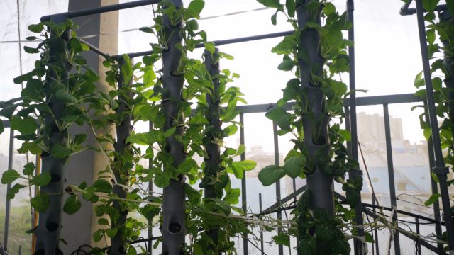 Máy trồng rau sạch tại nhà khí canh Ero-Farm V6 home
