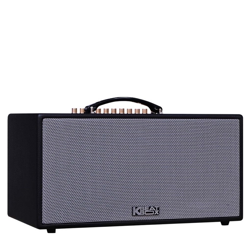 Loa karaoke Acnos NL446R - Chống hú di tần