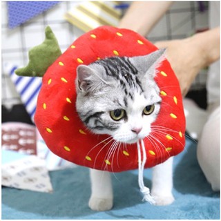 Vòng cổ gối chống liếm cho thú cưng