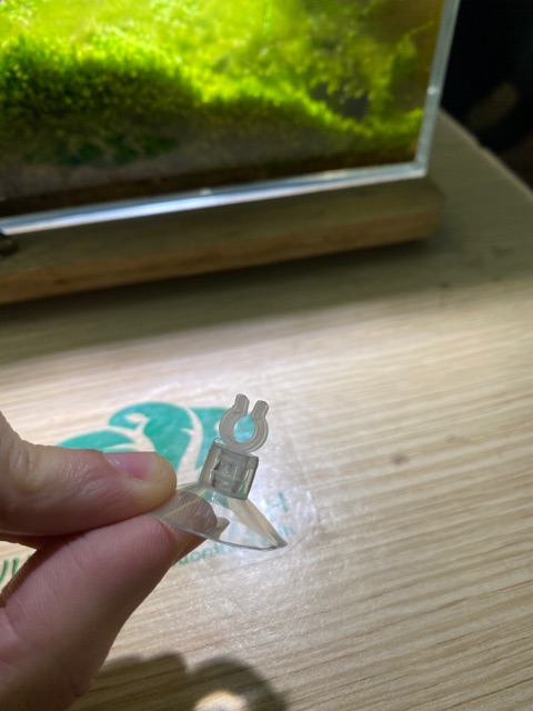 Hít kính giữ dây sủi, núm hít kính giữ dây oxy chống gập 4mm chất lượng tốt cho hồ cá