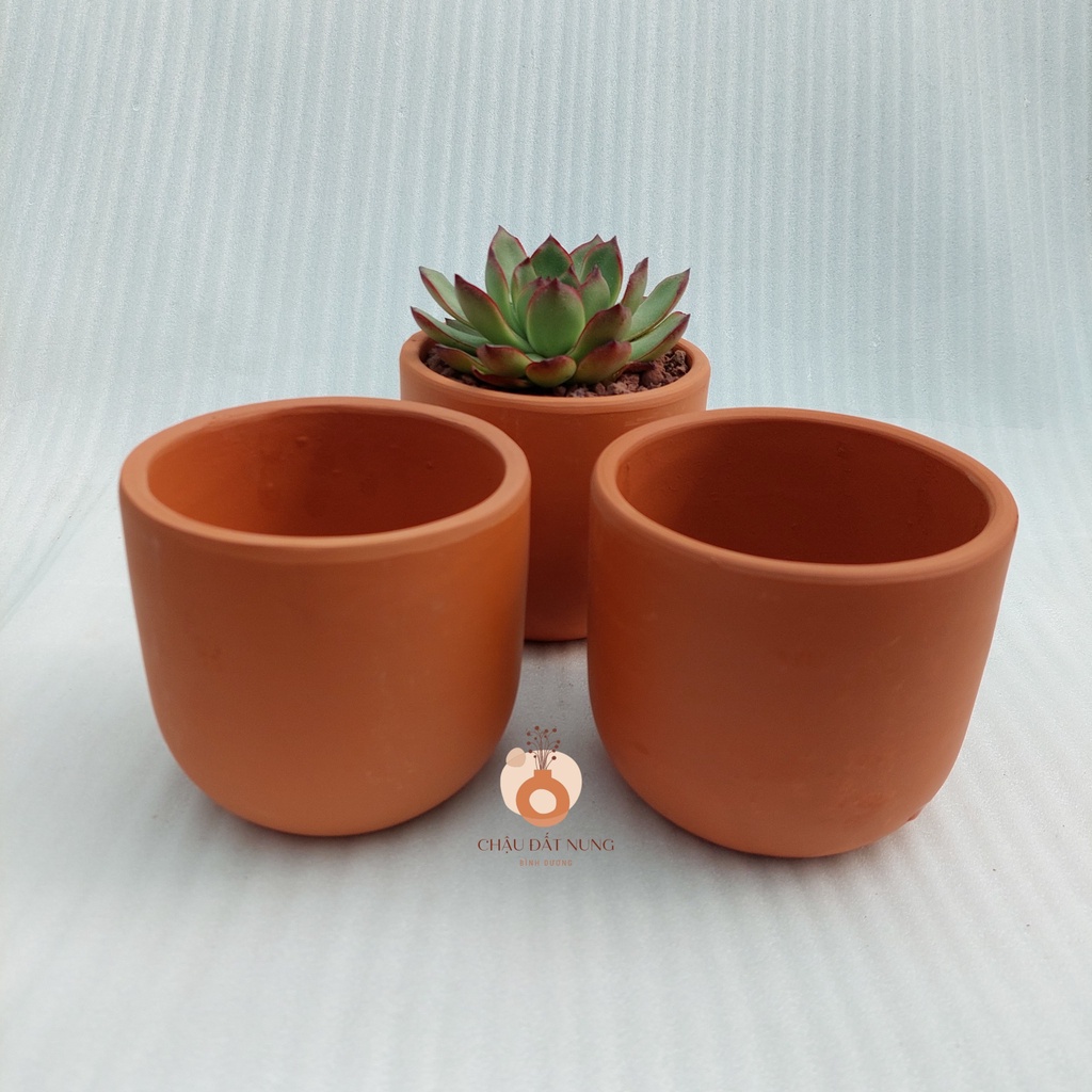 Chậu đất nung, Chậu sen đá - Trụ trứng 1210, miệng chậu 12cm, chiều cao 10cm