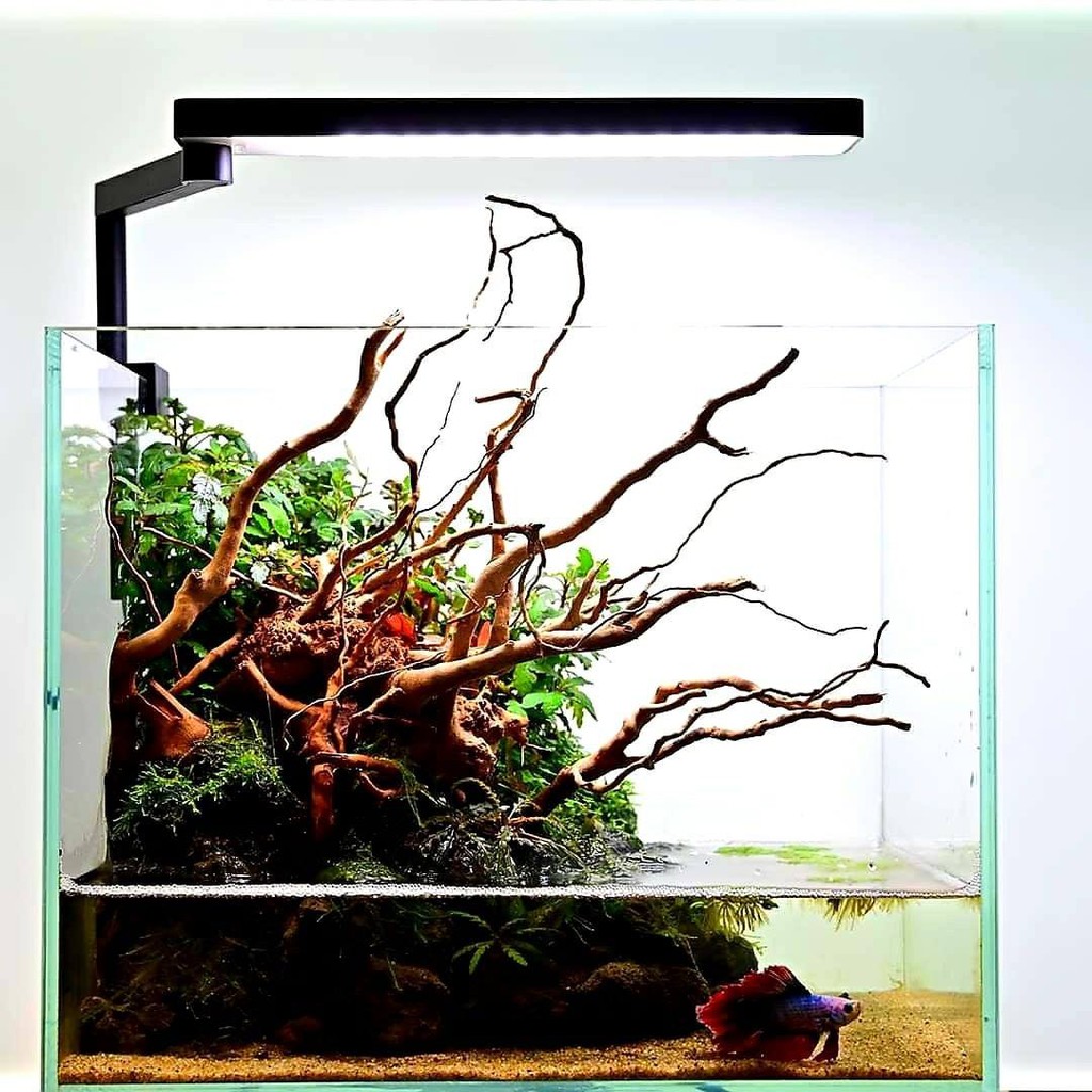 ĐÈN LED CHIHIROS RGB C2