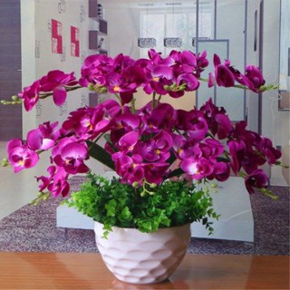 ▤◑™Bộ mô phỏng hoa Lan hồ điệp, giả, Trang trí phòng khách, nhựa, khô, lụa, giả