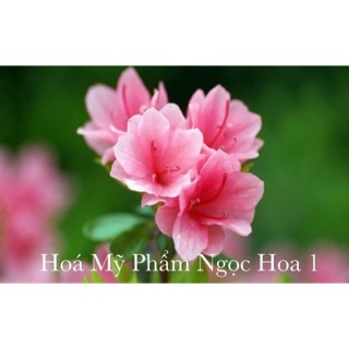 HÓA MỸ PHẨM NGỌC HOA 1