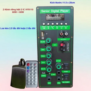 Mạch loa kéo 2 kênh riêng biệt 2 ic hy8110b 60w * 2