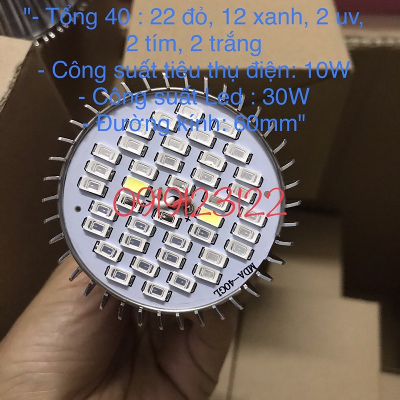 Đèn LED trồng cây, dèn led trồng rau tron nhà ( 30W E27)