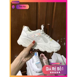 ( LTTP )Túi đựng Giày thể thao SSIL