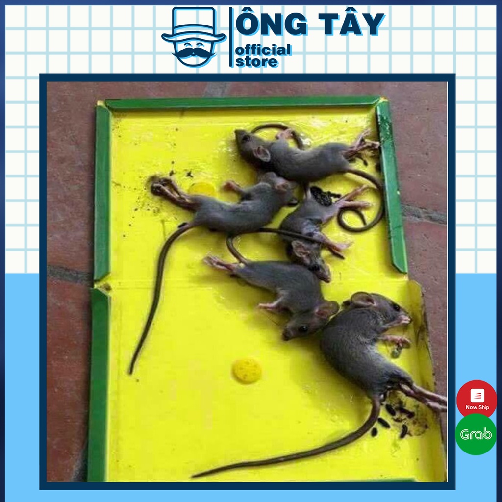 Keo dính chuột - keo bẫy chuột siêu dính có thể tái sử dụng TOMCAT