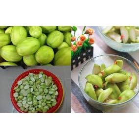 Cóc Bao Tử tươi chua giòn - giao Hỏa Tốc