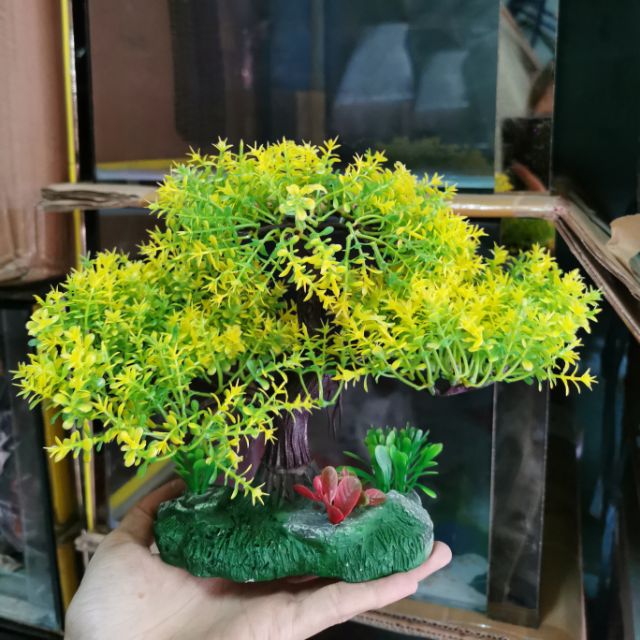 Bonsai nhựa trang trí hồ cá cảnh