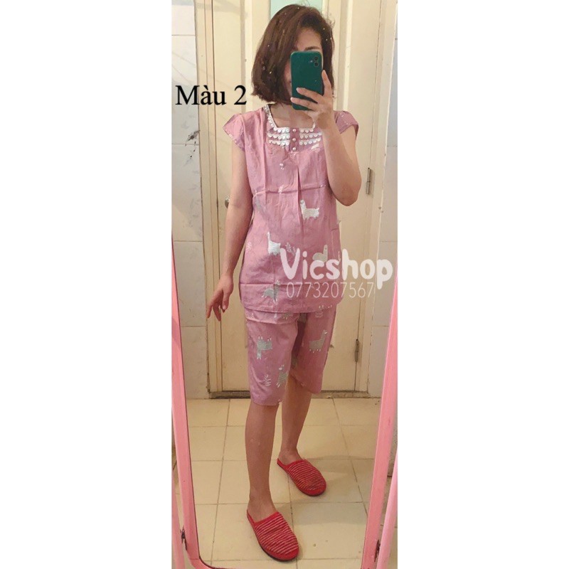 (SỈ, LẺ) BỘ LỬNG BẦU CHẤT THÔ LOẠI ĐẸP