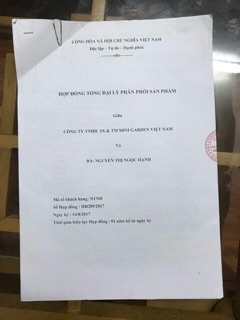 Son Rose Phiên Bản Limited