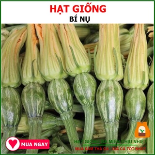 Hạt Giống Bí Nụ Lai F1 GiTa 0.5 Gram