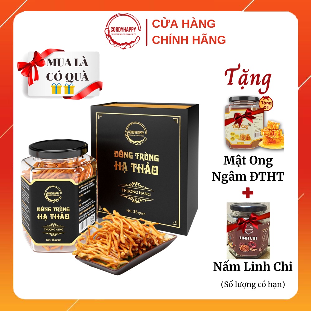 Đông Trùng Hạ Thảo Khô Sấy Thăng Hoa CordyHappy (Loại Thượng Hạng) Hộp 15g - Tặng Nấm Linh Chi và Mật Ong ĐTHT | BigBuy360 - bigbuy360.vn