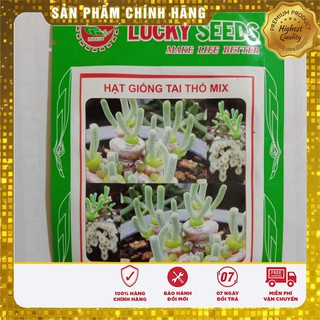 Hạt Giống Cây Tai Thỏ Lucky ( 5 hạt)