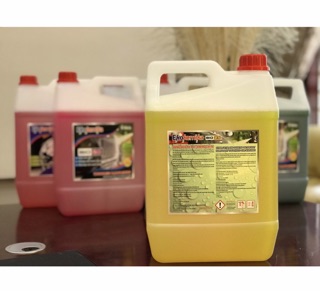 Dung Dịch rửa xe không chạm bio 25