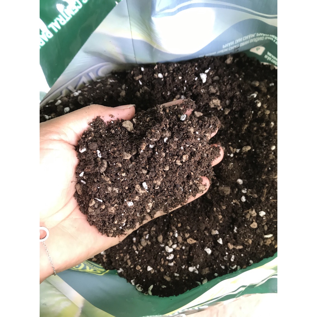 SOIL MIX BA - SHIP HỎA TỐC HCM - Bao 6.5 lít và 15 lít, đất trộn hữu cơ chuyên trồng sen đá xương rồng