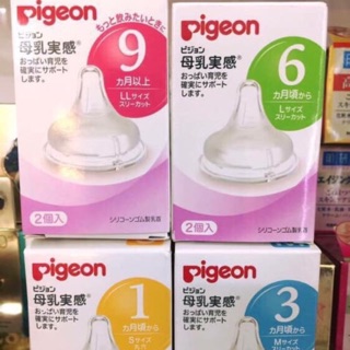 Núm pigeon cổ rộng nội địa Nhật đủ size