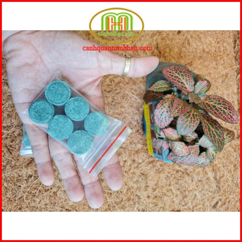 Phân bón sen súng NPK 16 16 8 TE gói 6 viên cho cây thủy sinh và cây ngập nước rễ khỏe, thân mập, lá xanh.