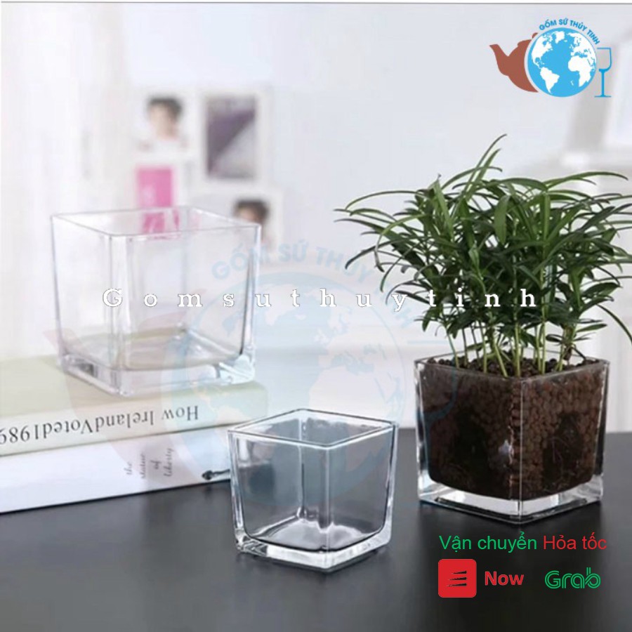 Bình bông lọ hoa trụ vuông 10cm x 10cm