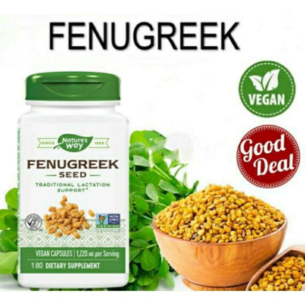 Viên uống lợi sữa cỏ cà ri FENUGREEK SEED 1220MG 180v