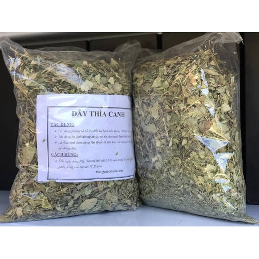 Dây thìa canh Hải Hậu