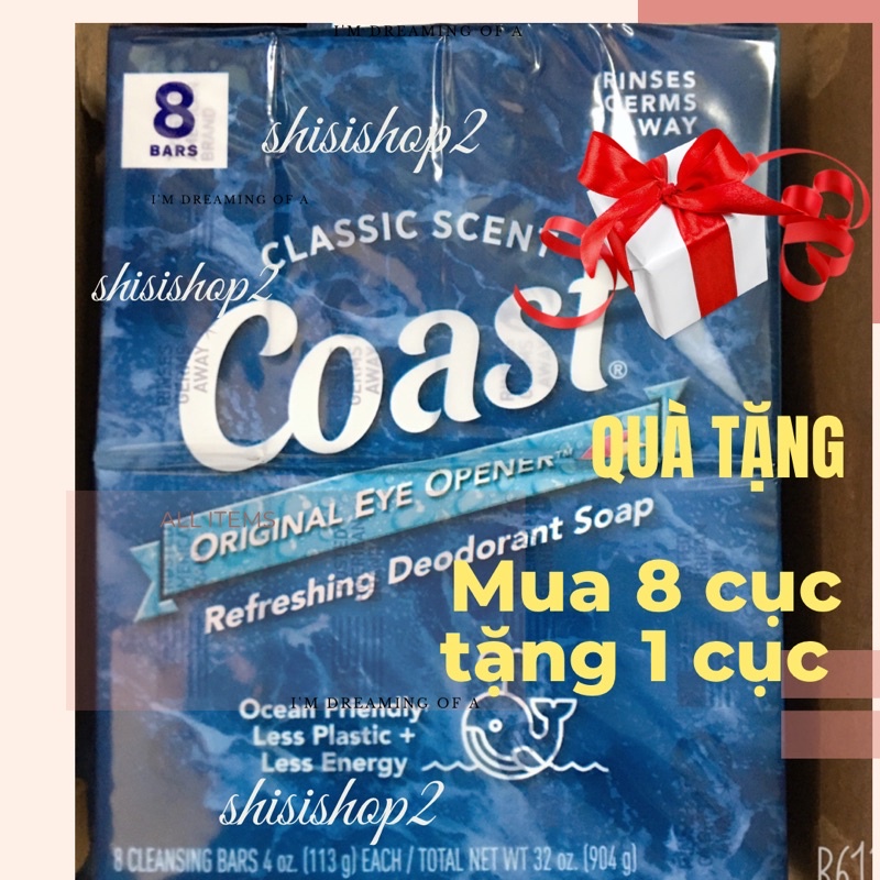 Xà phòng Coast Mỹ 113g