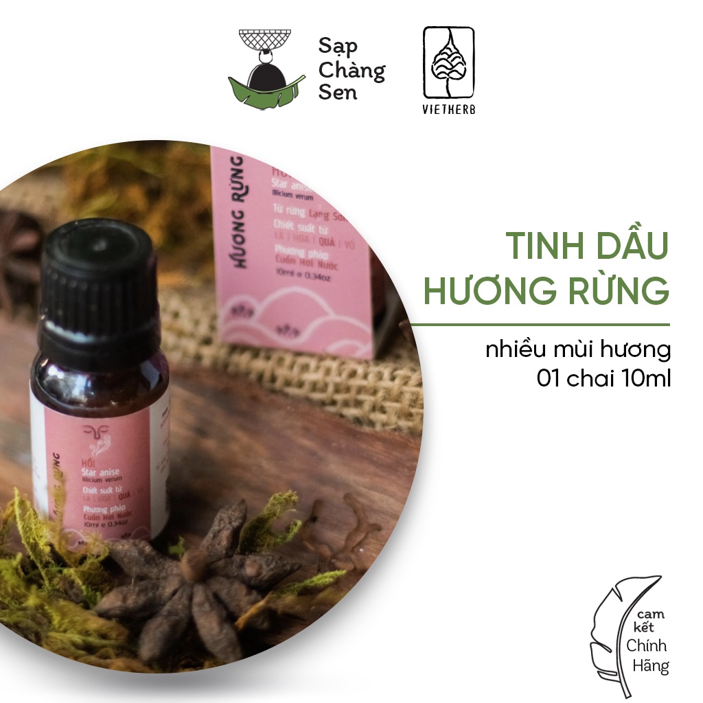 Tinh dầu Hương Rừng (Vietherb) - 10ml | hồi, màng tang, tràm, bưởi, quế