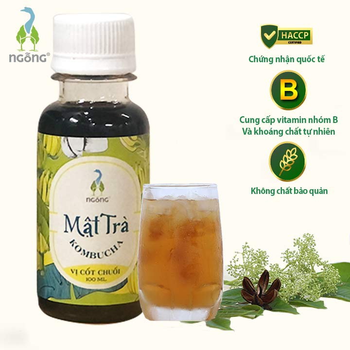 Mật Trà Kombucha Cốt Chuối 100ml Vị Chua Ngọt Tự Nhiên