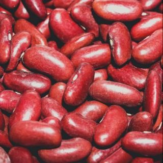 Đậu đỏ - kidney beans