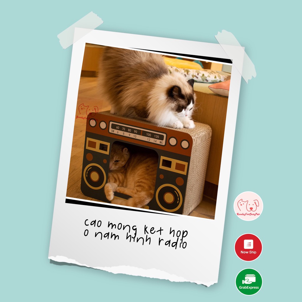 [Cực kì ưa thích]Cào móng kết hợp ổ nằm cho mèo Radio Cat Scratch Board Phụ kiện cho mèo