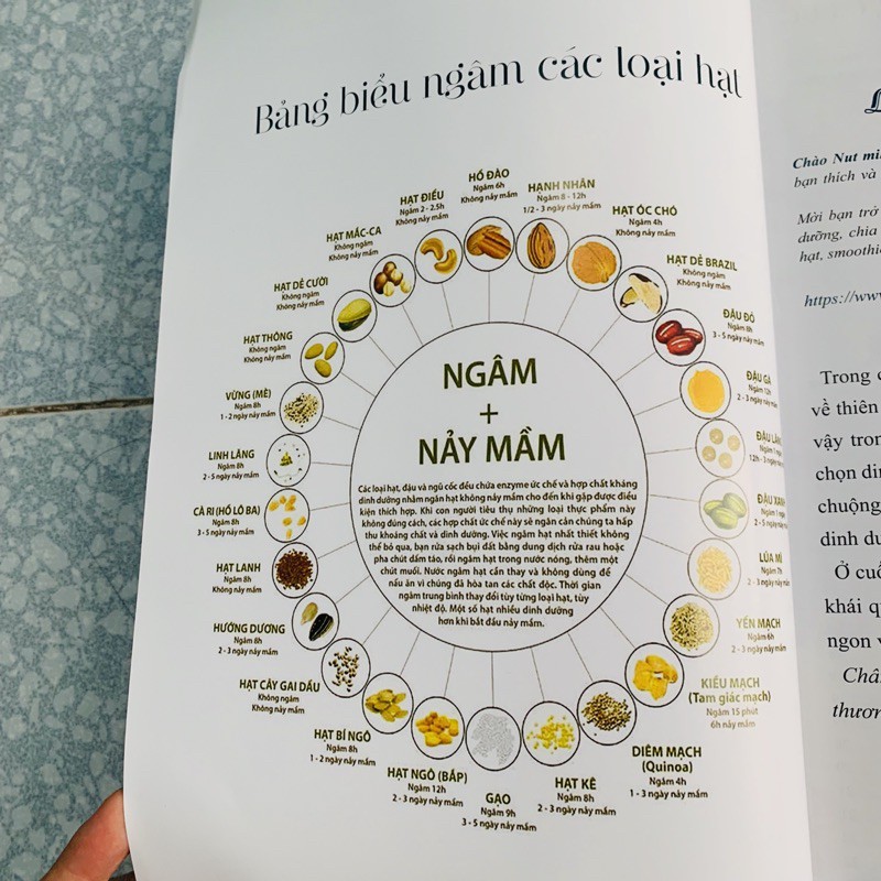 150 CÔNG THỨC SỮA HẠT NẤU BẰNG MÁY SỮA HẠT | BigBuy360 - bigbuy360.vn