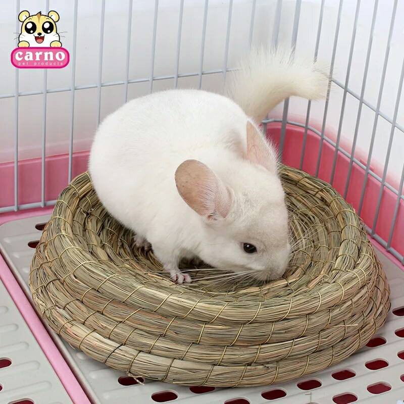 Nệm rơm cho thỏ / bọ/sóc bắc mĩ/ chinchila