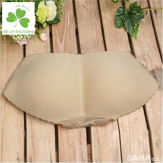 Quần Độn Mông Cạp Thấp - Cạp Cao Hàng Chất Đẹp