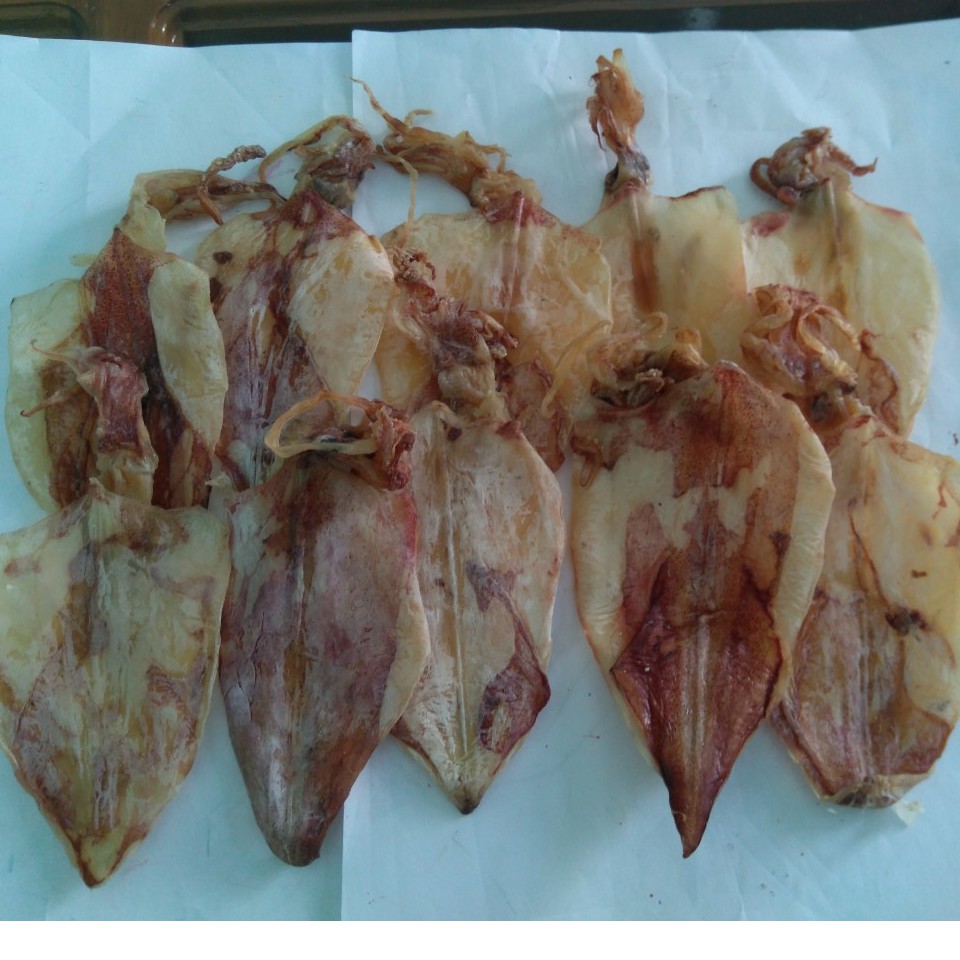 18 CON MỰC KHÔ BAO NHƯ HÌNH (250gam)