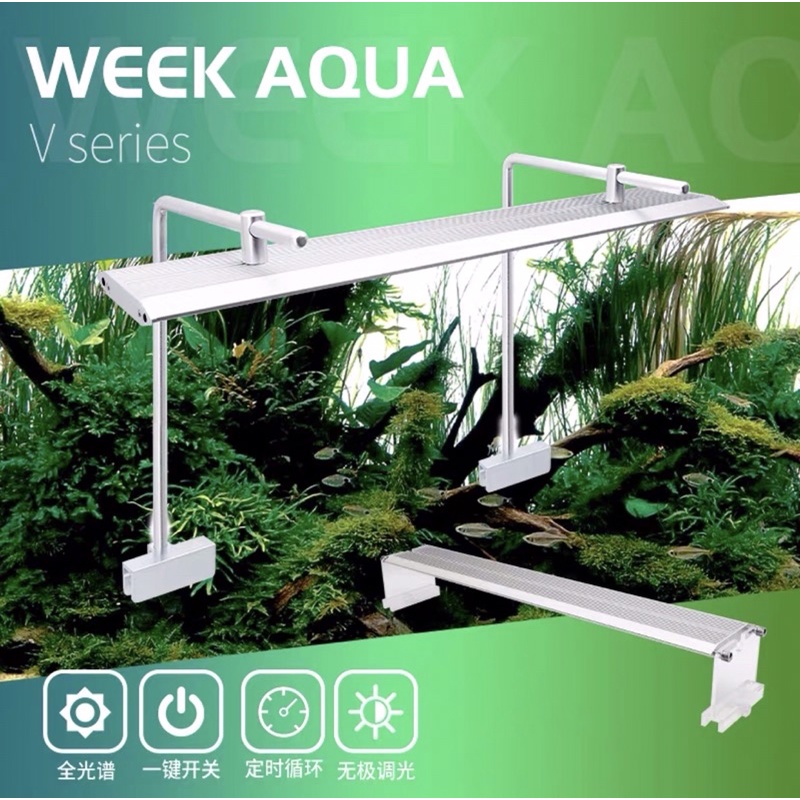 Đèn Led Thủy Sinh WRGB Cao Cấp | Đèn WEEK RAPTOER V-SERIES Bản Nâng Cấp Chuyên Dụng Cho Hồ Cá Thủy Sinh
