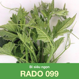 Hạt giống bí siêu ngọn Rado 099