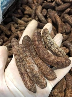 CHUỐI HỘT RỪNG NGỌC LINH