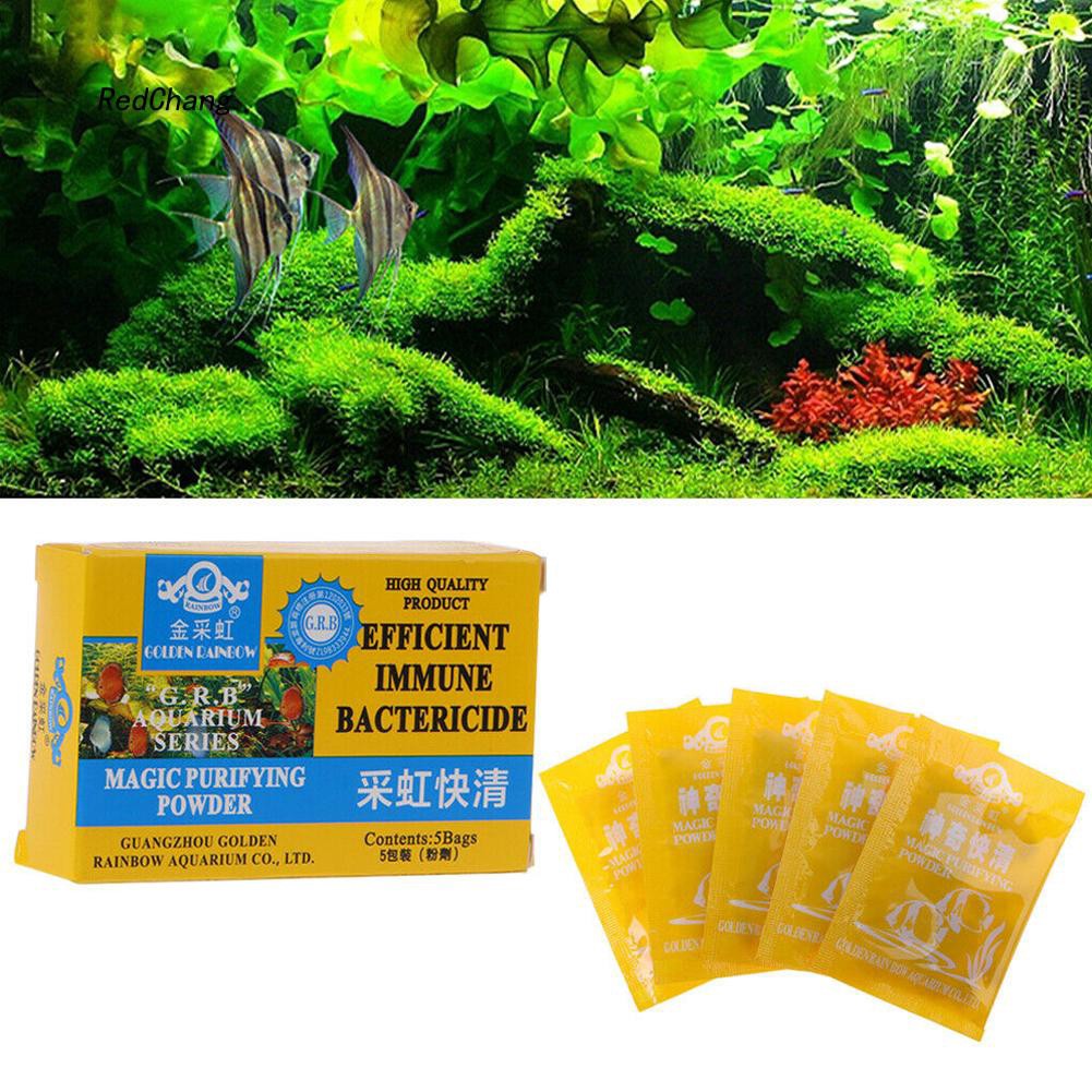 Set 5 túi thuốc bột diệt kháng khuẩn bể bơi