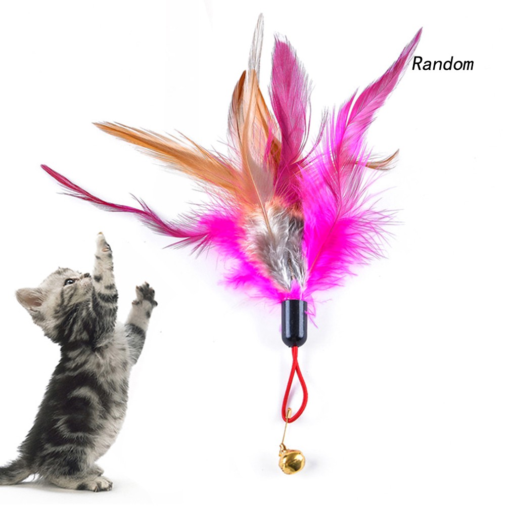 Đồ Chơi Lông Vũ Đáng Yêu Cho Mèo