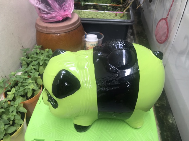 Heo đất Gấu Trúc Xanh Lá size L