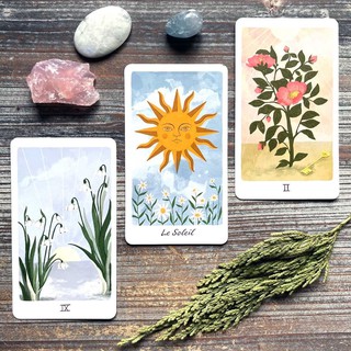 Bài Harmony Tarot